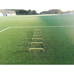 Agility ladder with steps