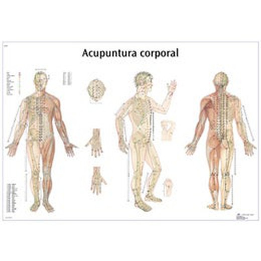 Platte 3B Körperakupunktur