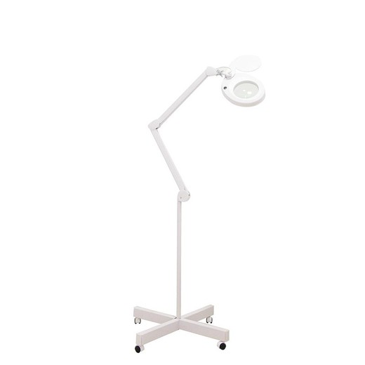 Magni LED Lamp