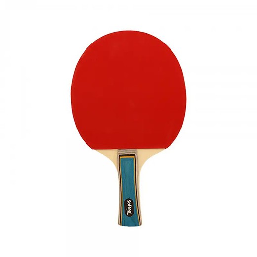 Raqueta tenis de mesa - P050