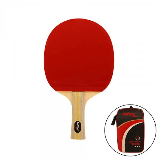 Table tennis racket - P900 PRO