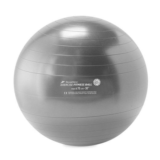 RehabMedic Exercise Fitball 75 cm (prata)