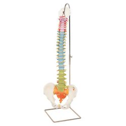3B Columna Didáctica Flexible