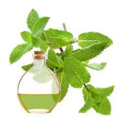 Olio essenziale di menta piperita (BIO) 15ml