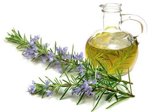 Olio essenziale di canfora al rosmarino 10ml