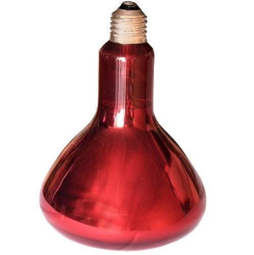 Ampoule Infrarouge 275W