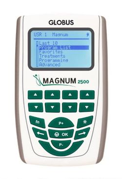 Globus Magnum 2500